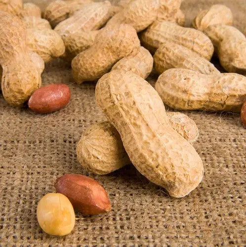 Peanut 5 Kg x 1 Pack